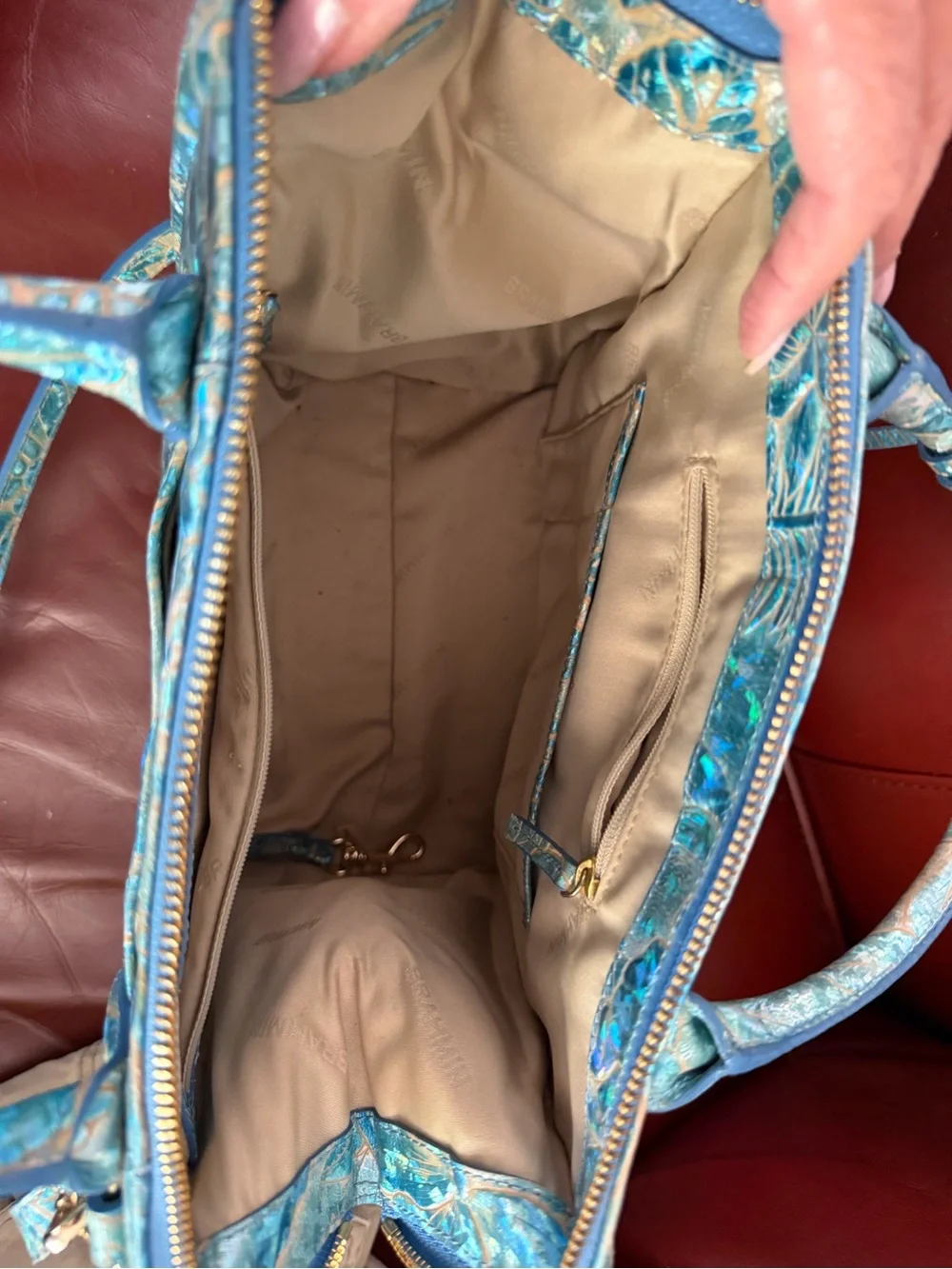 Brahmin rare caroline